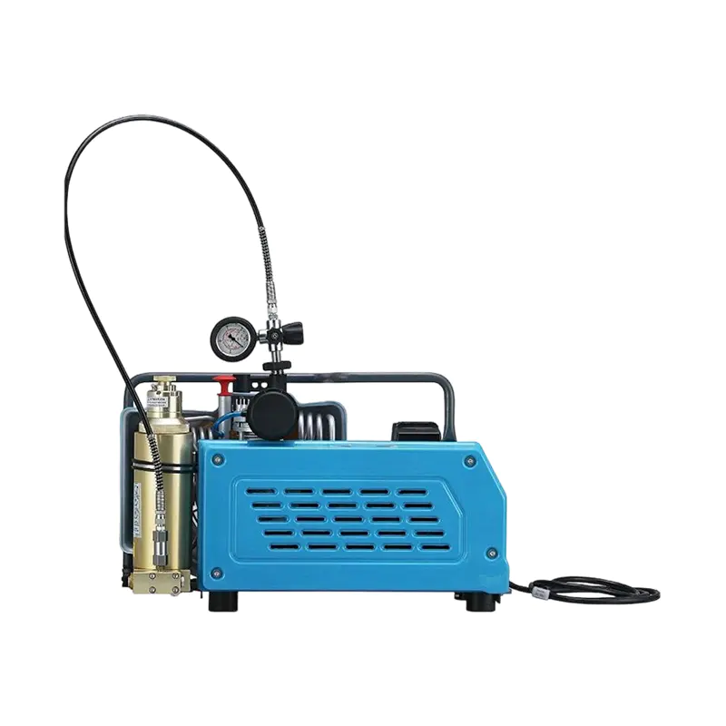 Pompa do napełniania powietrzem (100L, 220V)